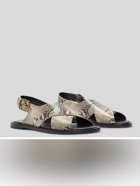EVERLANE The City Crossover Sandal black white Snakeskin Buckle Flat Heel size 8